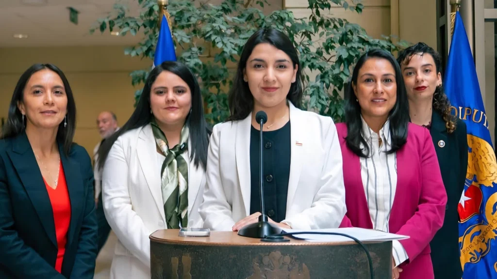ministra de la mujer w
