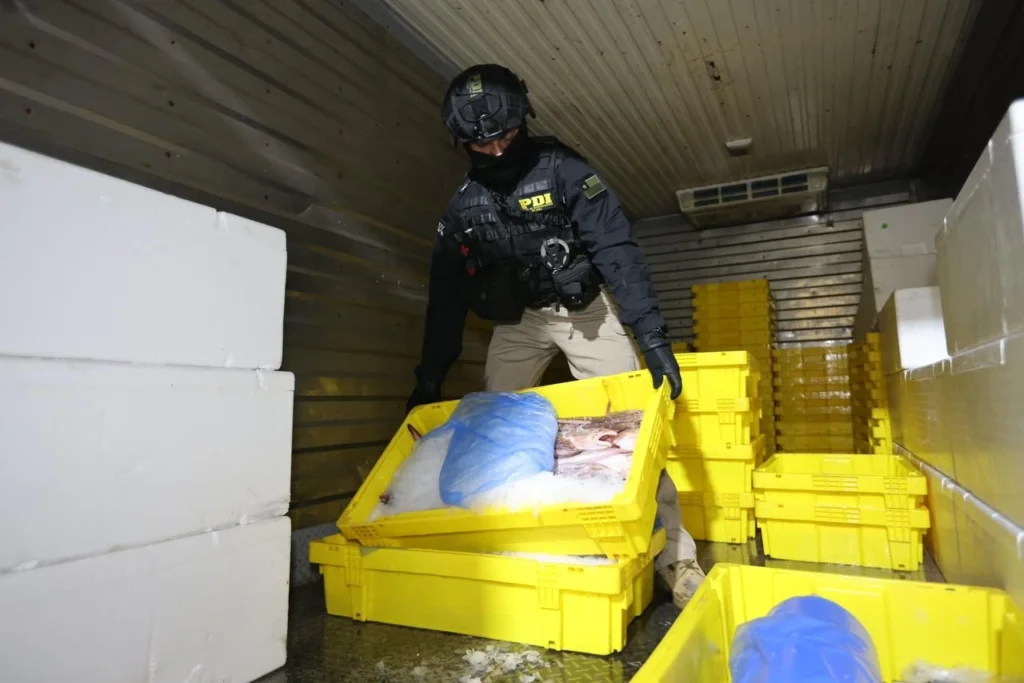 Operación Nereida: un exseremi, funcionarios públicos, carabineros, entre los 55 detenidos por comercio ilegal de productos marinos nerida