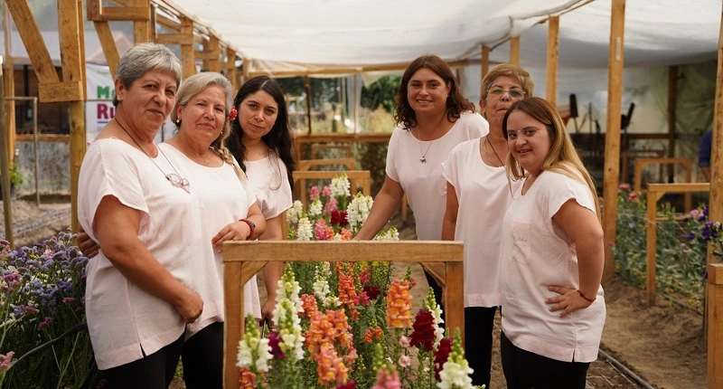 Los efectos sociales de los recortes de Kast: "Es el único lugar donde los isleños pueden sacar un certificado" Programa mujeres rurales de INDAP año 2023