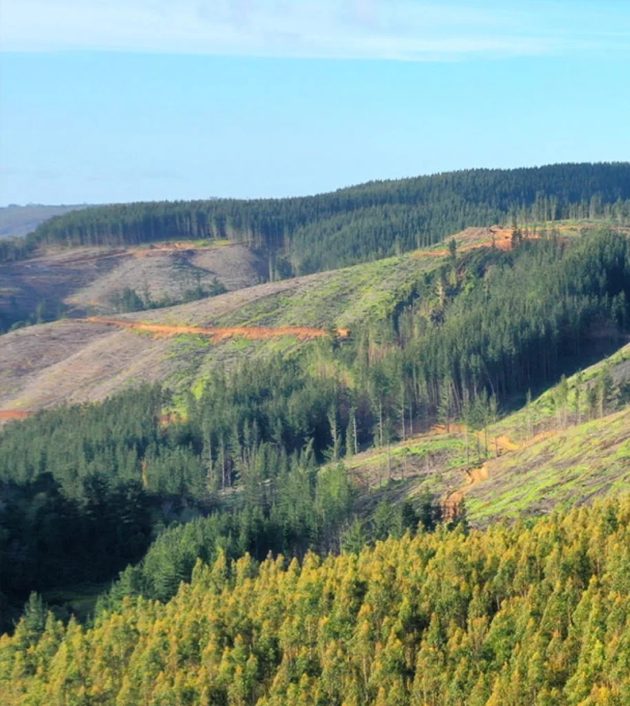 tierras raras 2