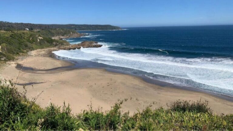 Hito para la conservación marina comunitaria con Refugio Marino de Guadei