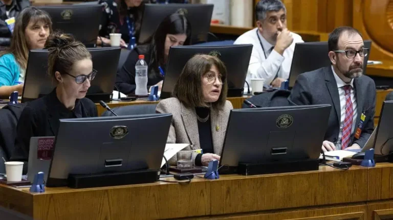 Rectora Mizala y desfinanciamiento de la Gran Sala Sinfónica de la U. de Chile