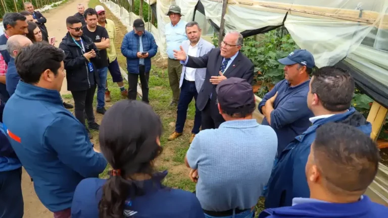 Ministro de Agricultura declara emergencia agrícola en 14 comunas de la Región del Maule y agrupación de agricultores pide su renuncia