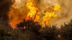 Preocupaciones verdes de los chilenos: 82% nota cambios en las condiciones ambientales donde vive