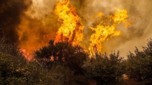 Las preocupaciones verdes de los chilenos: 82% afirma haber notado cambios en las condiciones climáticas o ambientales del lugar donde vive durante los últimos cinco años