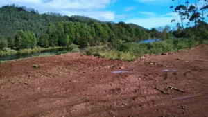 Por tala ilegal de bosques y atentado ambiental: primera condena en Chile por estos delitos y multa millonaria para empresario valdiviano que dañó humedal